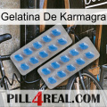 Karmagra Jelly 23